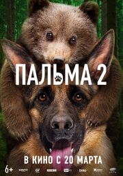 Пальма 2